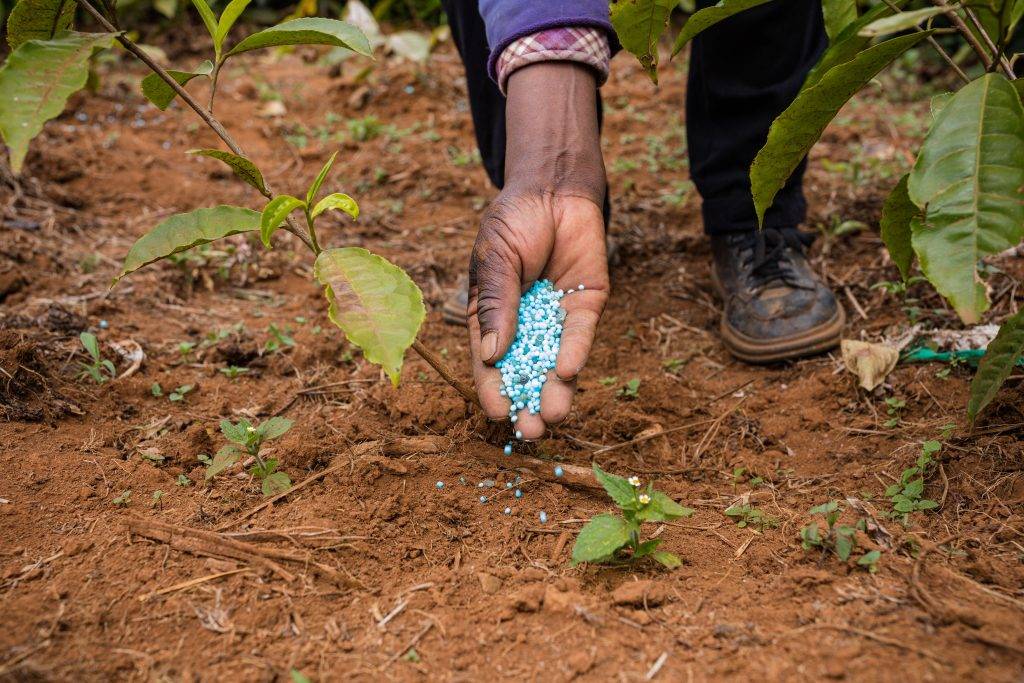 Fertilizing plants