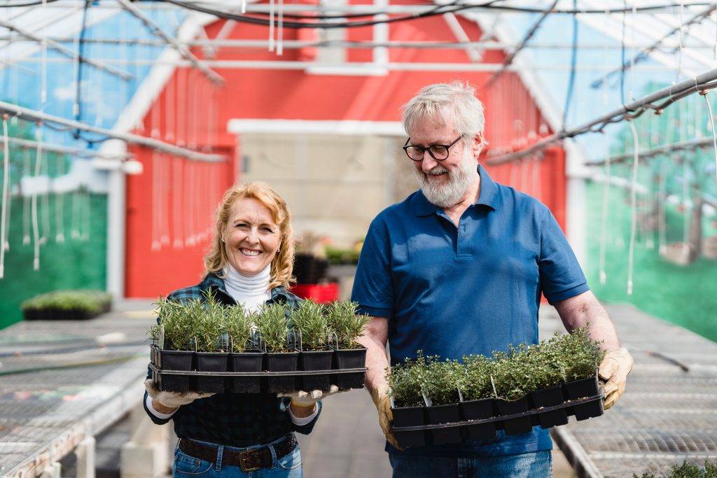 couple holding plants