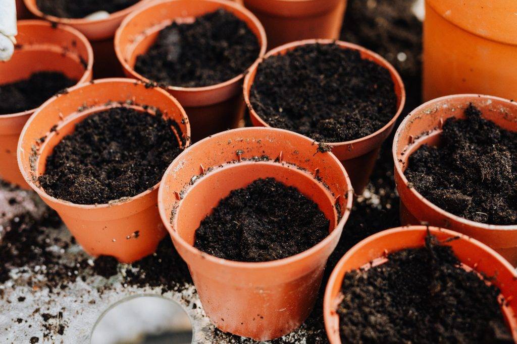 plant containers