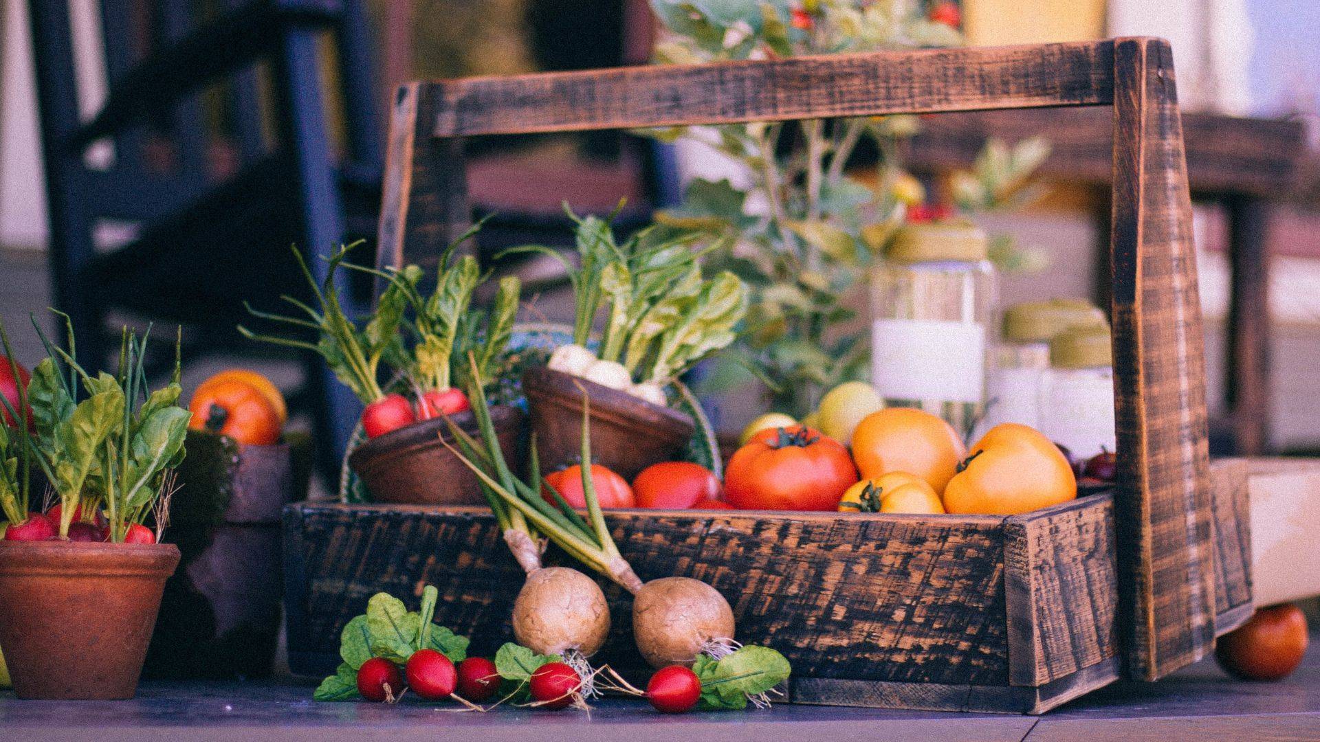 Vegetable garden