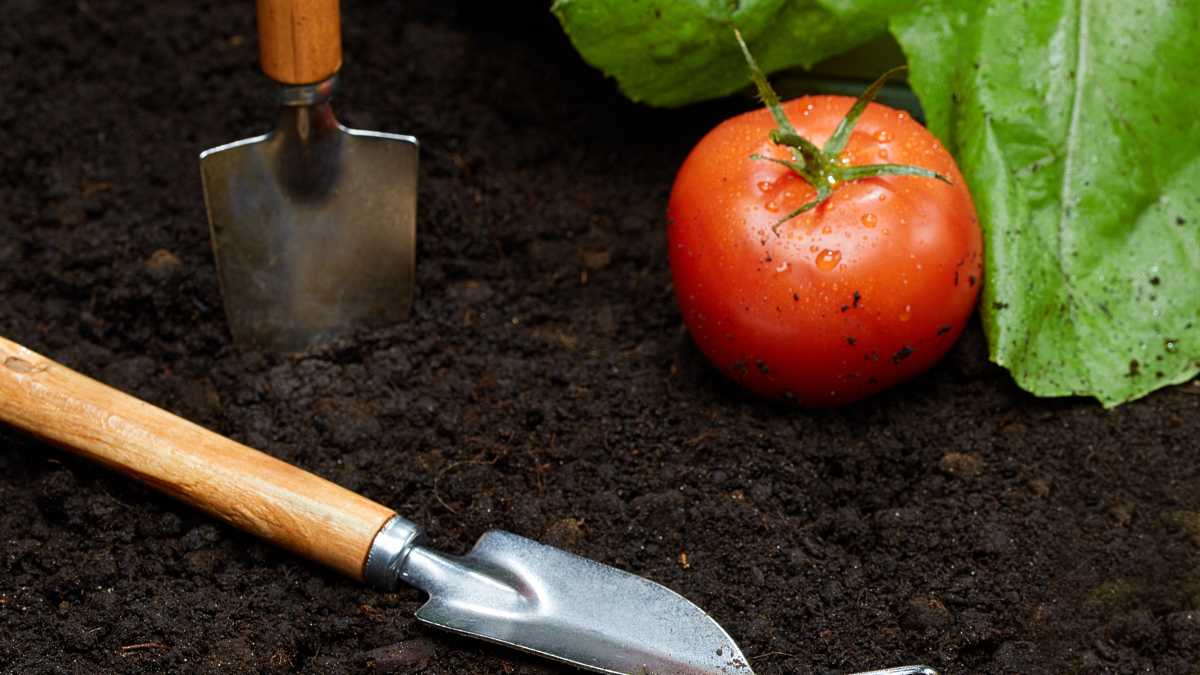 Growing fruits and vegetables